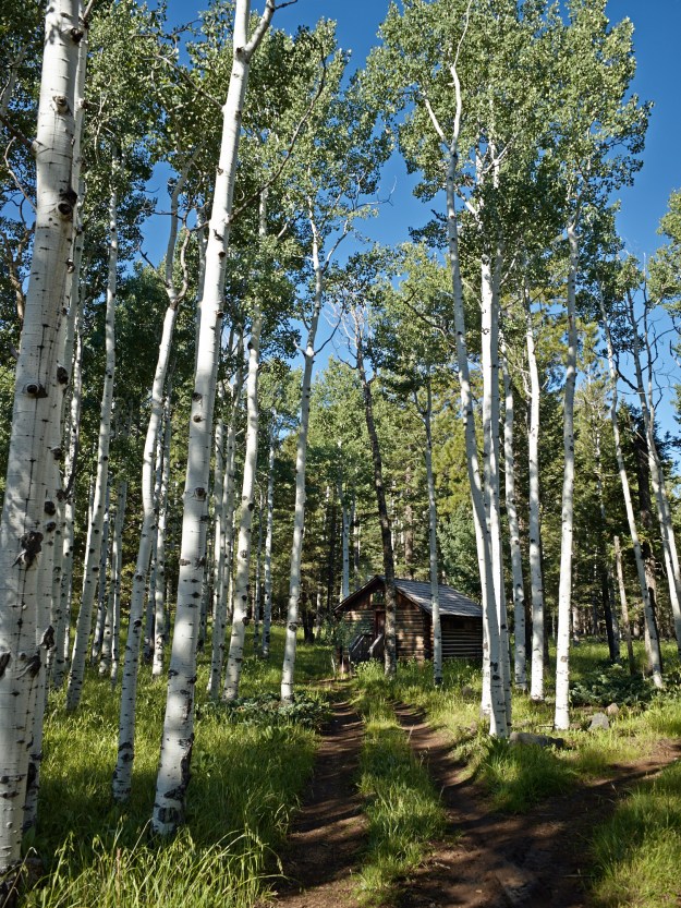 Aspens & Cabin-web