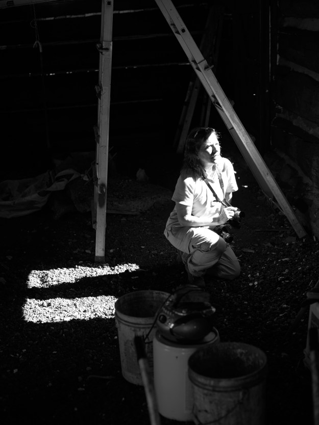 Aug 17 2014 Mountains & Meadows 470