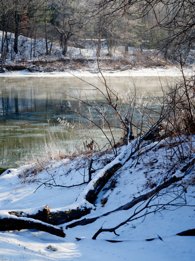 The Susquehanna River near Apalachin, NY