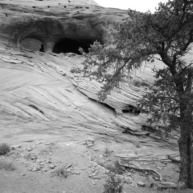Anasazi Ruins - One of many cliff dwellings in the area