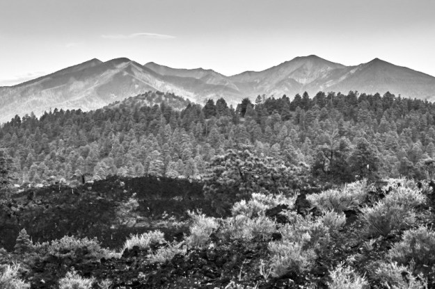 The San Francisco Peaks overlooking a lava field at Sunset Crater.