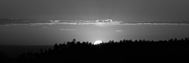 The sun breaks the horizon at an old fire site near Flagstaff