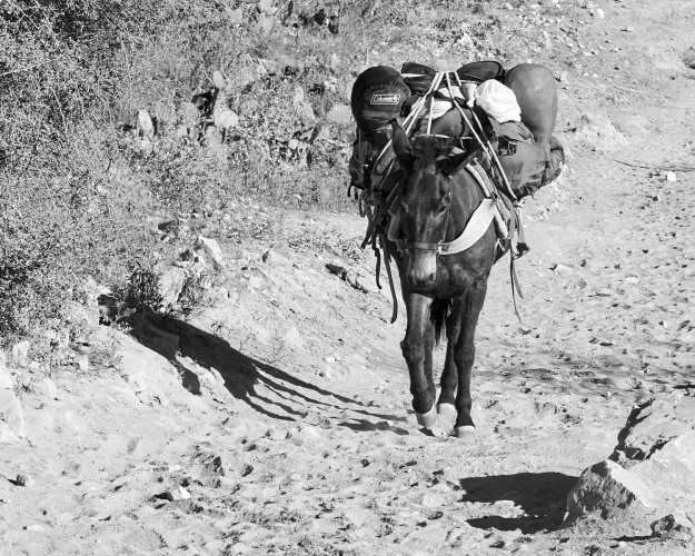 16-04-26 Havasupai Trip 0812-web