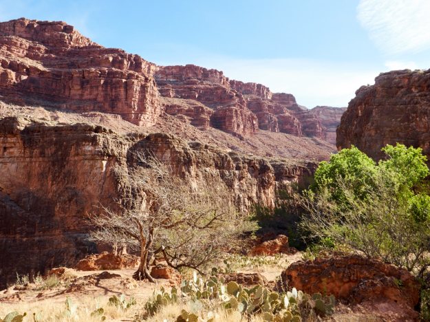 16-04-26 Havasupai Trip 1034-web