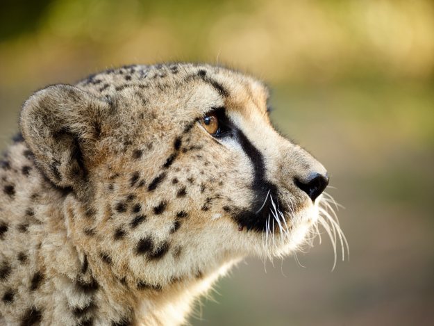 16-05-25 Ukutula 3750-web