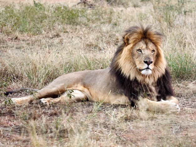 16-05-26 Ukutula 4515-web