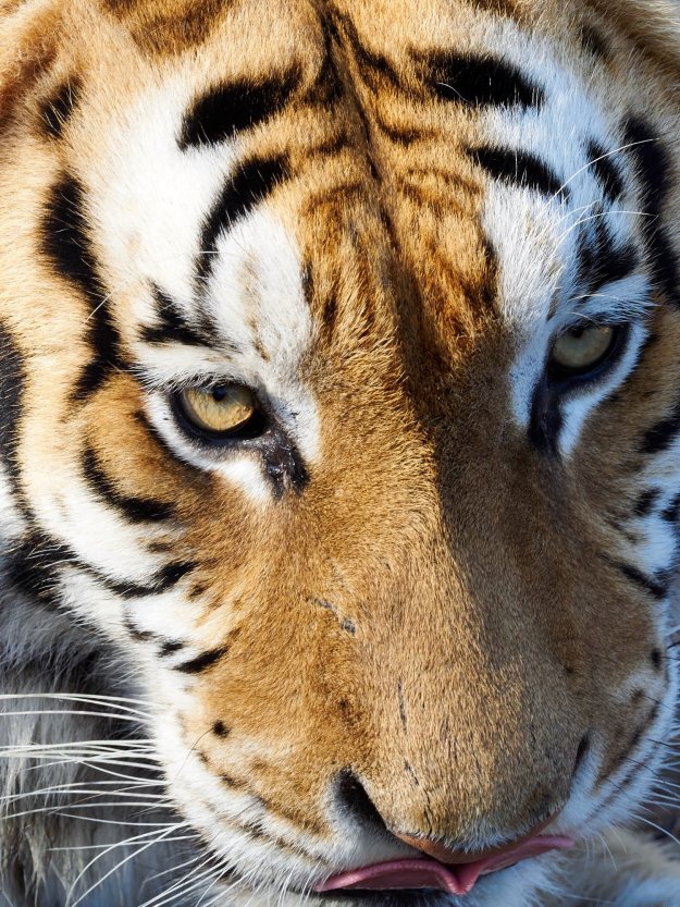 16-05-27 Ukutula 5273-web