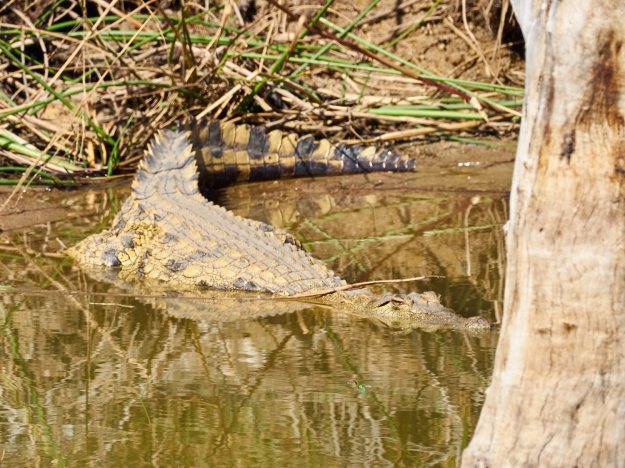 16-05-27 Ukutula 5343-web