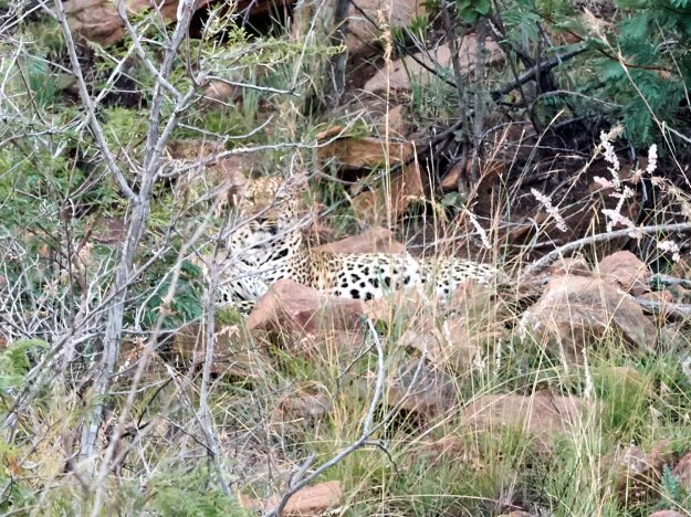 16-05-28 Bakubung 7536-web