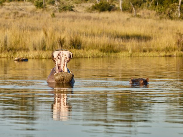 16-05-31 Shambala 9834-web