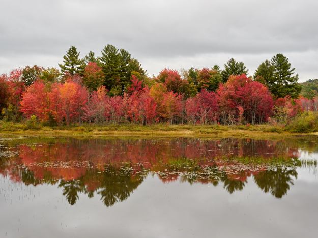 16-10-03-tim-martha-visit-0455