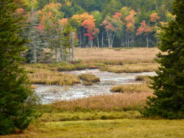 16-10-09-acadia-0260
