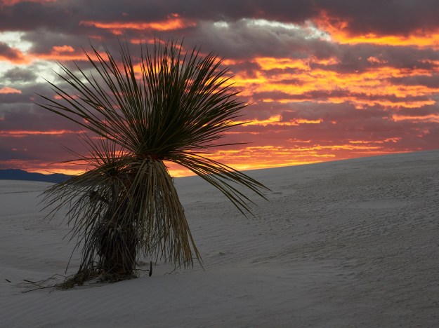 17-01-21-white-sands-0149