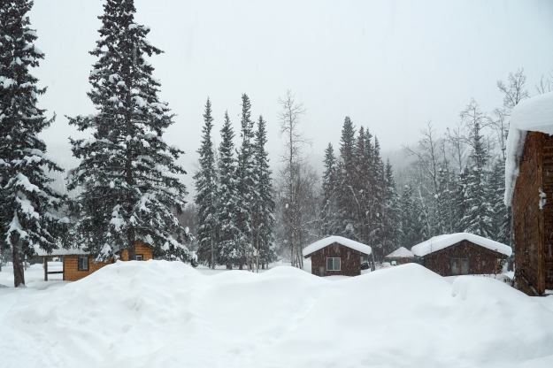 17-02-27 Alaska 0039