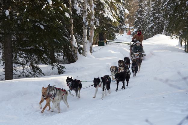 17-02-28 Alaska 0268