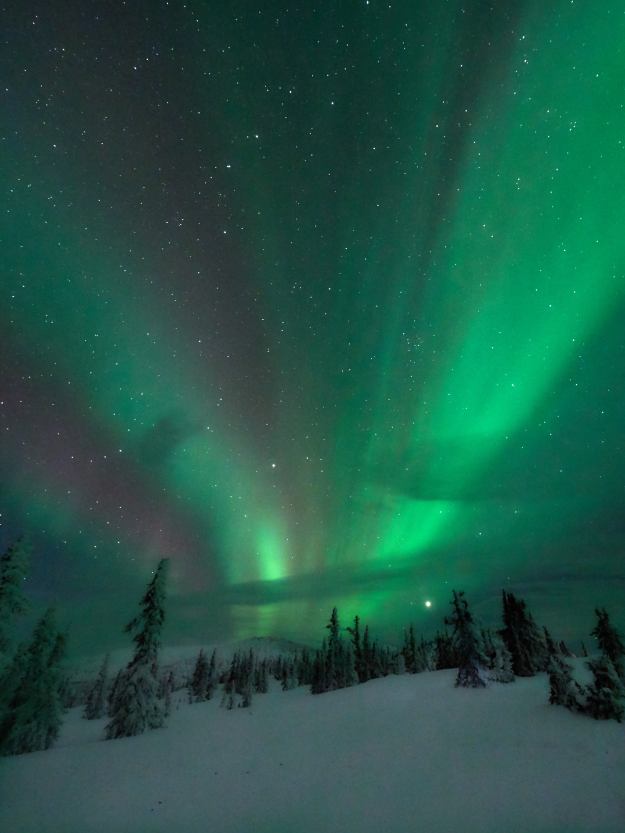 17-03-01 Alaska 0504