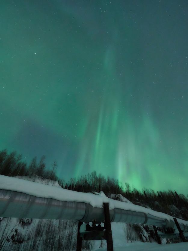 17-03-03 Alaska 1010