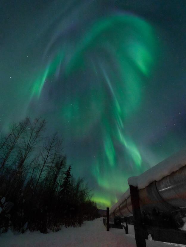 17-03-03 Alaska 1085 1