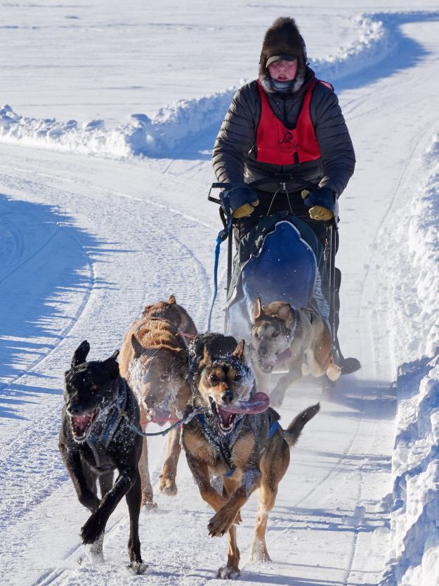 17-03-03 Alaska 1419