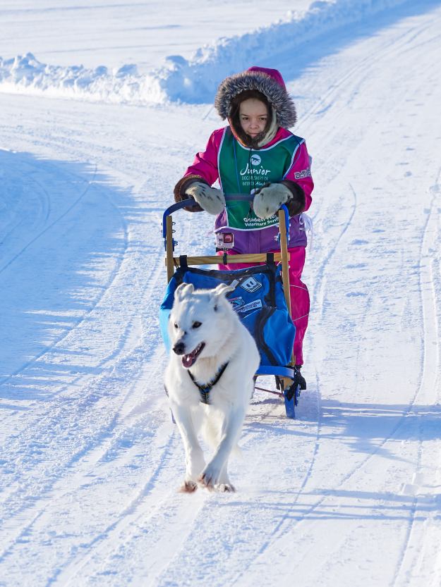 17-03-03 Alaska 2243