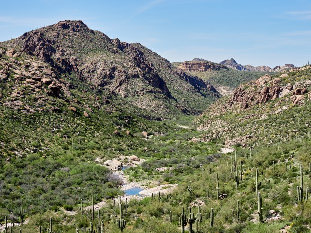 Superstition Mountains 46