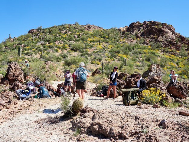 Superstition Mountains 65
